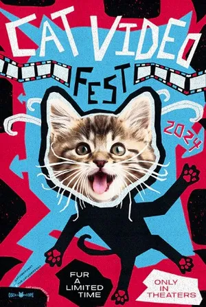 CatVideoFest 2024